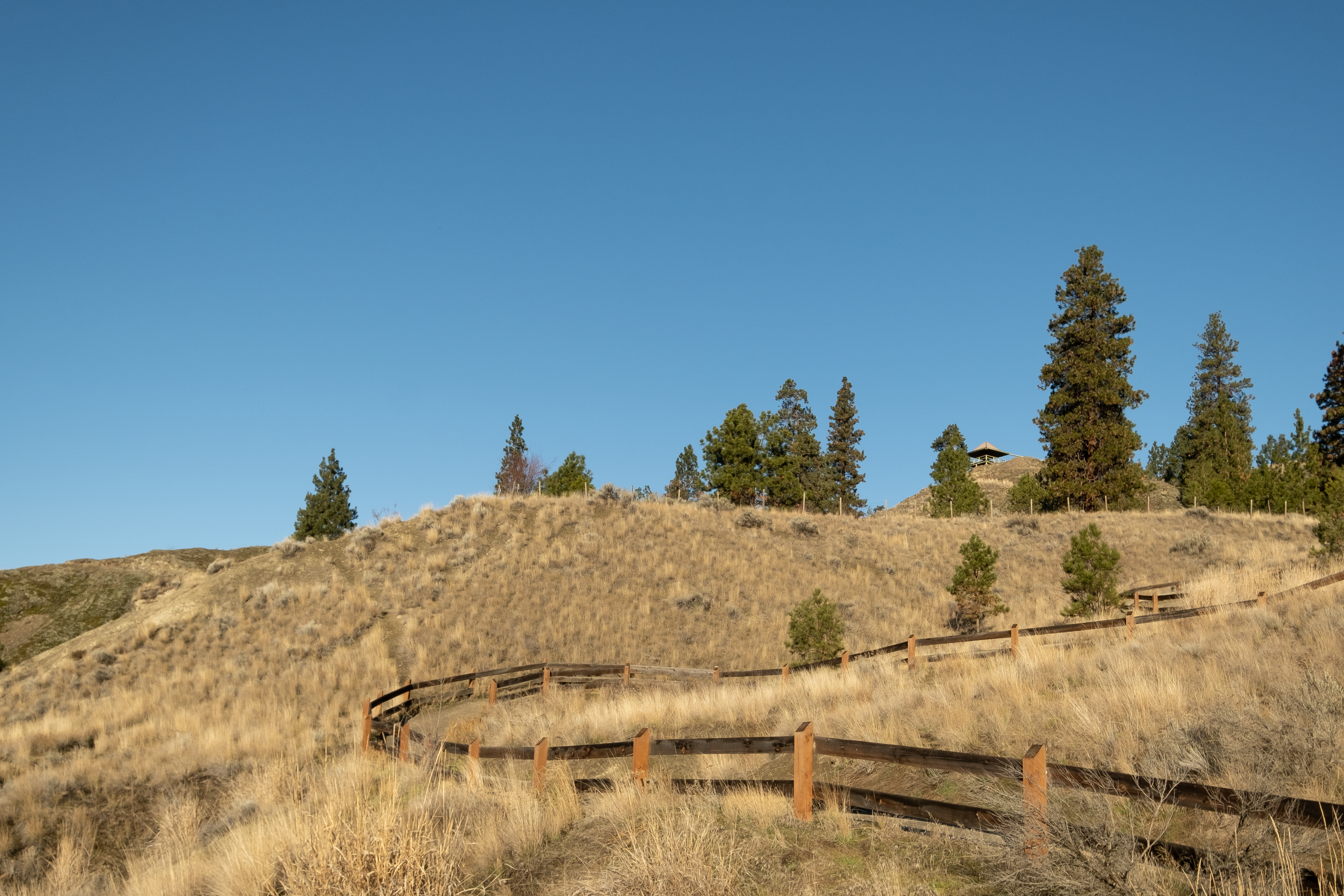 Custom Fencing